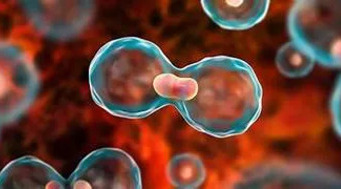Understanding Cancer: Risks, Prevention, & Advances In Treatment