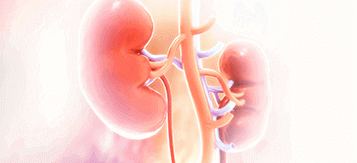 best kidney cancer hospitals bangalore