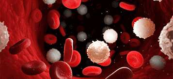 Leukaemia (Blood Cancer)