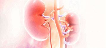 Kidney (Renal Cell) Cancer