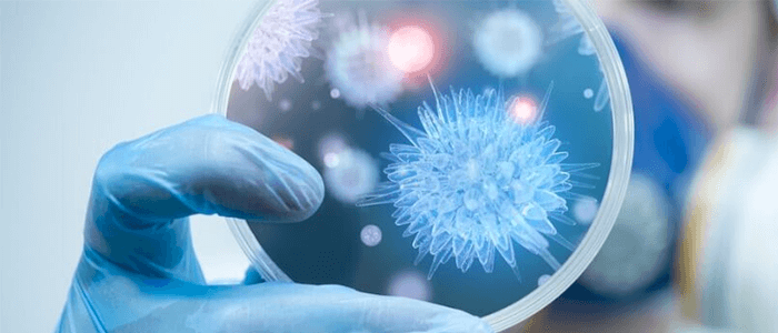 Journey to the Center of Technology