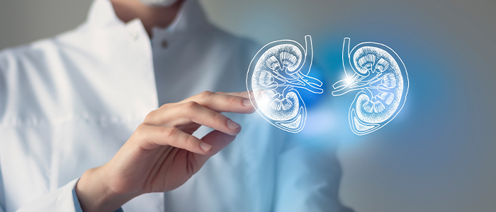 Kidney (Renal Cell) Cancer – Symptoms, Risks and Types o...