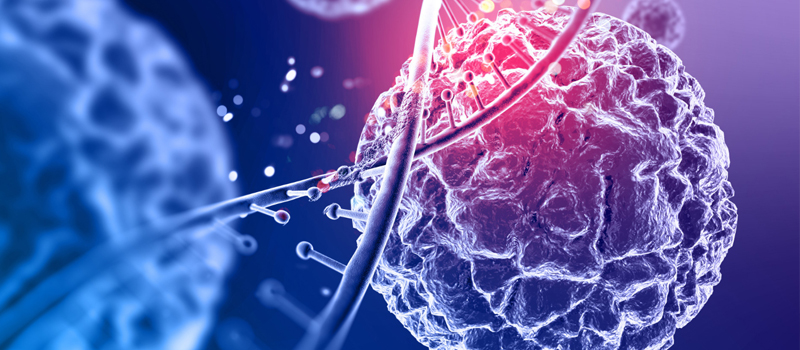 Understanding the Role of a Medical Oncologist: Your Guide to ...