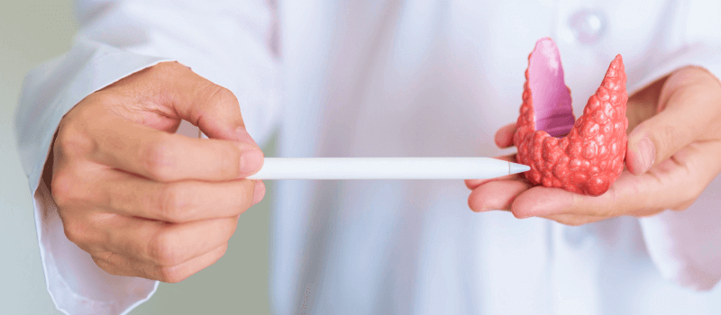 Understanding the Different Types of Thyroid Cancer and Their ...